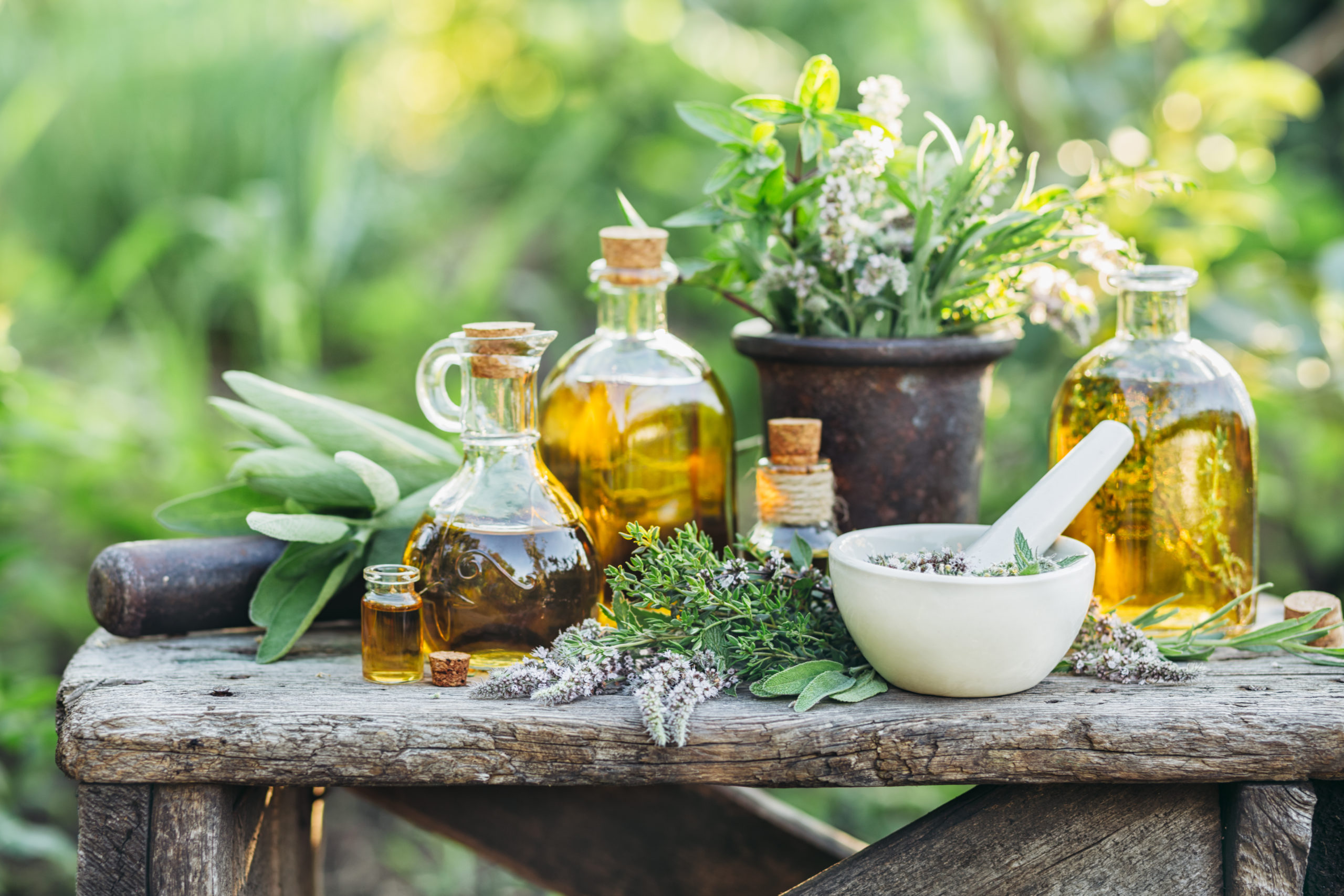 medicinal herbs and plants